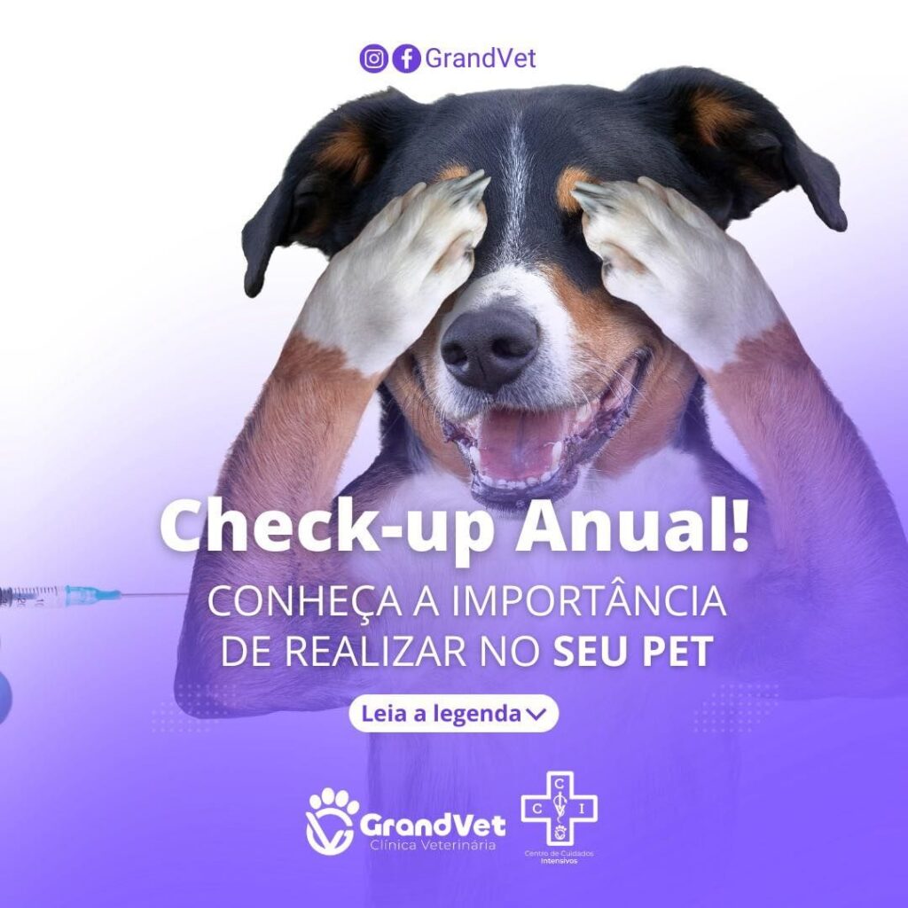 Check-up Anual! Conheça a Importância de realizar no seu PET