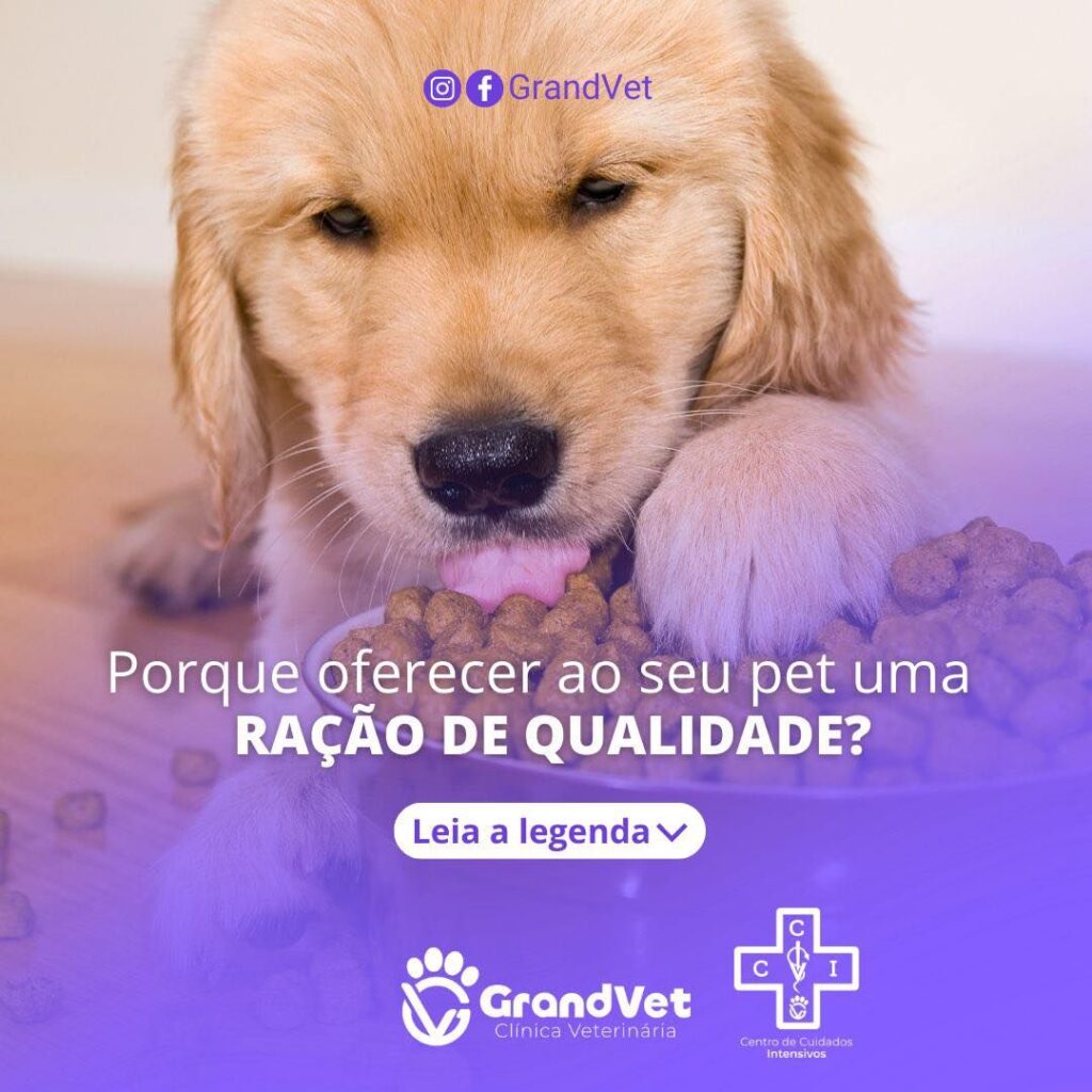 Por que oferecer ao seu PET uma ração de qualidade?