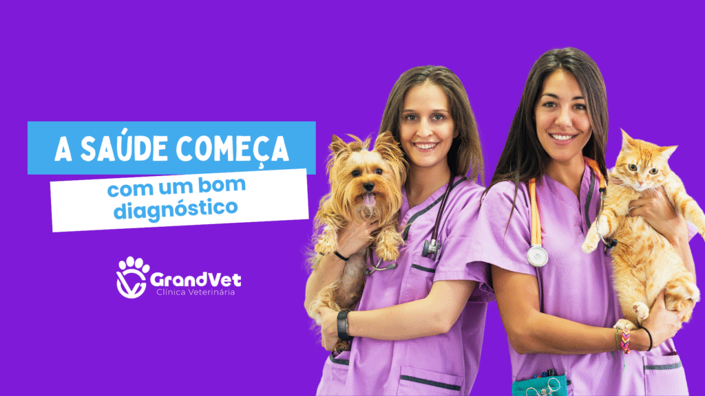 veterinarios com animais para exames laboratoriais - grandvet