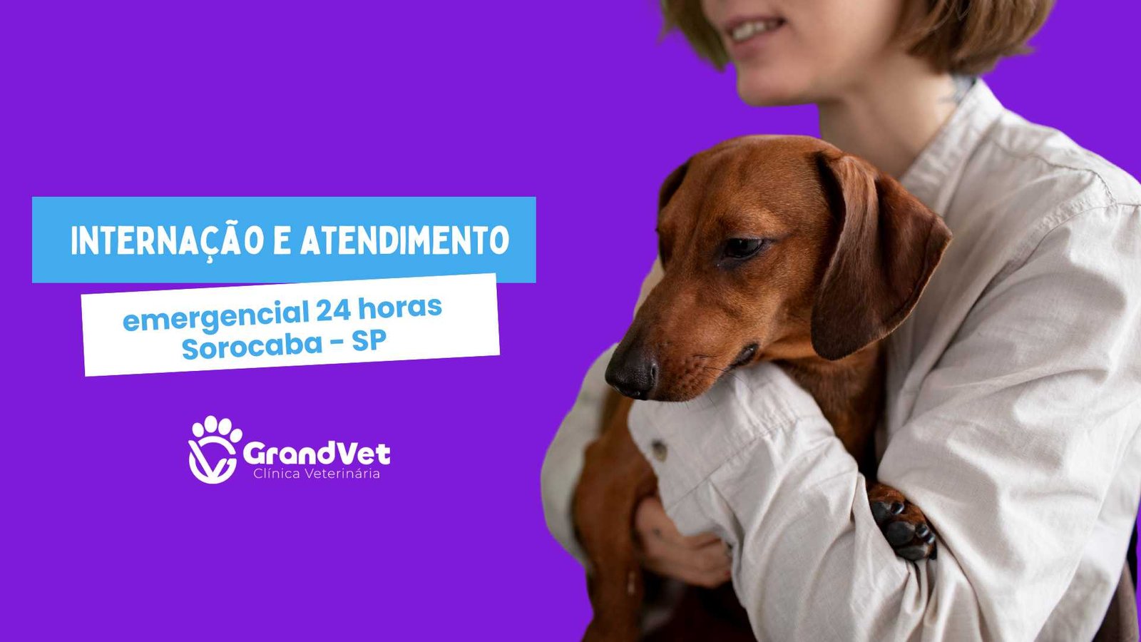 clinica veterinaria em sorocaba - sp grandvet 24 horas